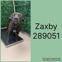 Zaxby image 1