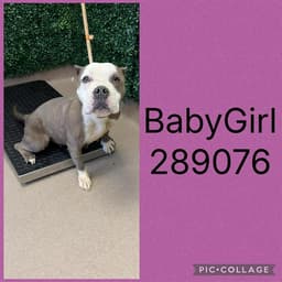 Baby Girl image 1