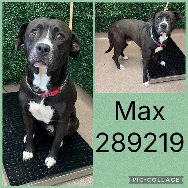 Max
