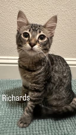 Richards image 1