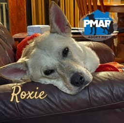 Roxie image 1