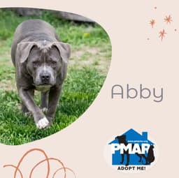 Abby image 2