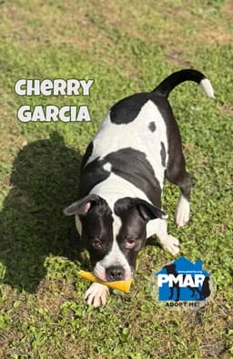 Cherry Garcia image 2