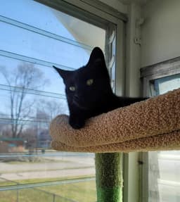 Kiki image 1