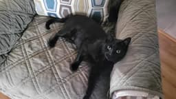 Kiki image 3