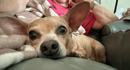 Abbie image 3