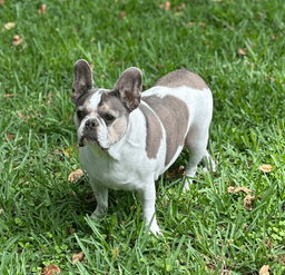 Skyler image 4