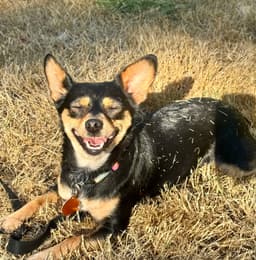 Mimi image 2