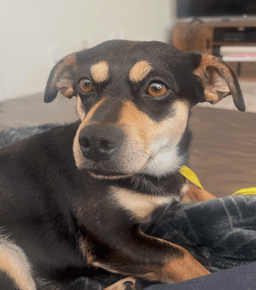 Buster image 3