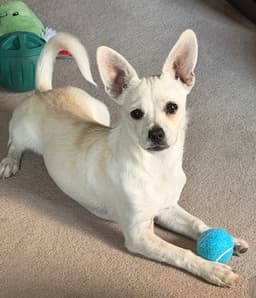 Casper image 3