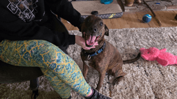 Max image 3