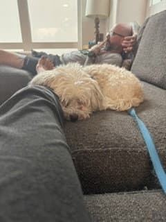Sammy image 3