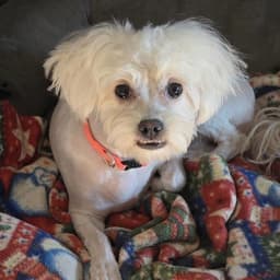 Tammy image 1