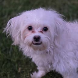 Tammy image 3