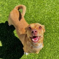 Muneca image 1