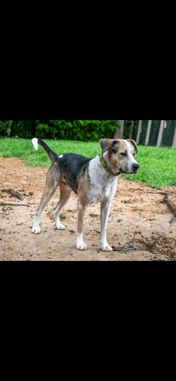 Max image 1