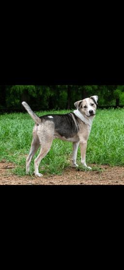 Max image 2