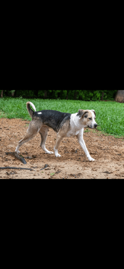Max image 3