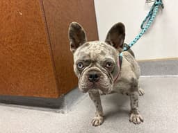 Stormi image 1