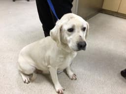Winnie image 1
