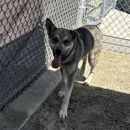Tahoe image 1