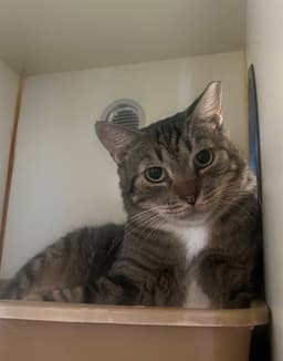 Tubby image 1
