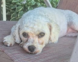 Maddie image 2