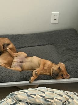 Teenee image 1