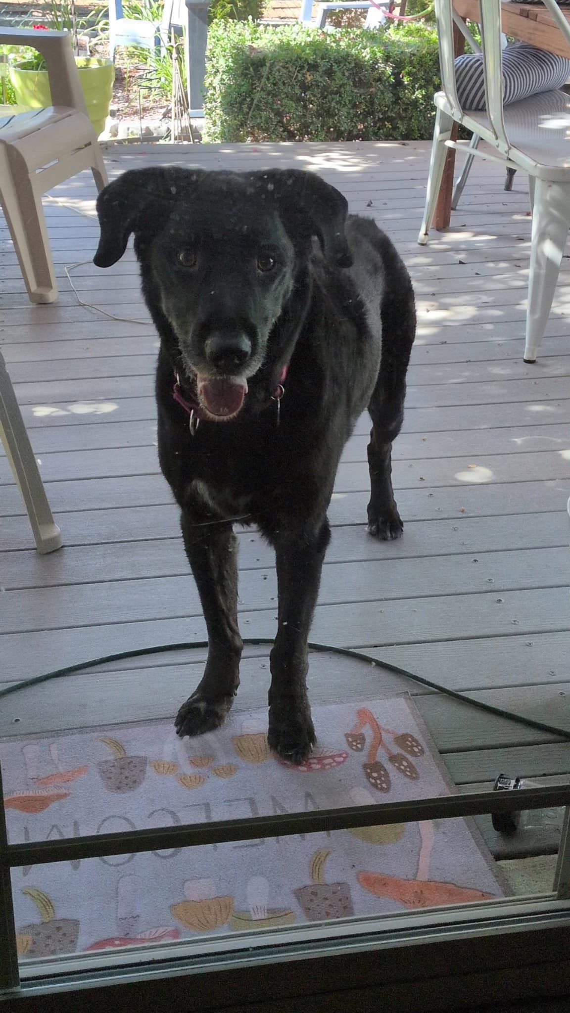 Jake Sr