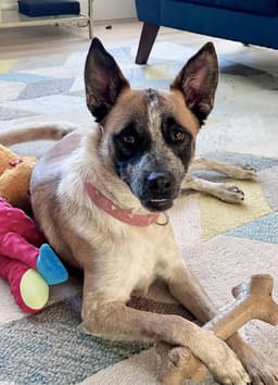 Daisy Lou image 1