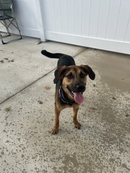 Winnie image 1