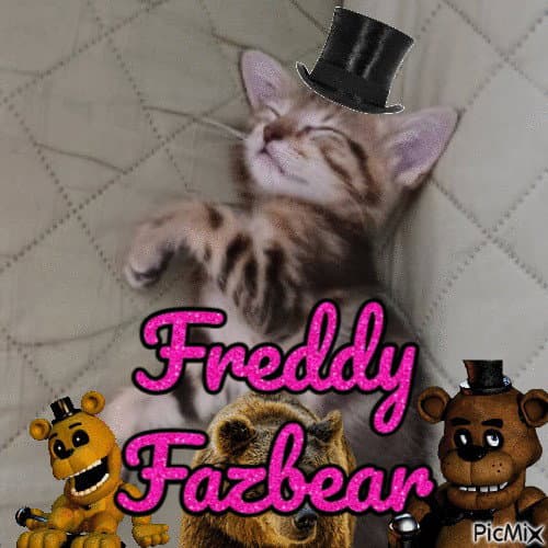 Freddy Fazbear - Domestic Short Hair