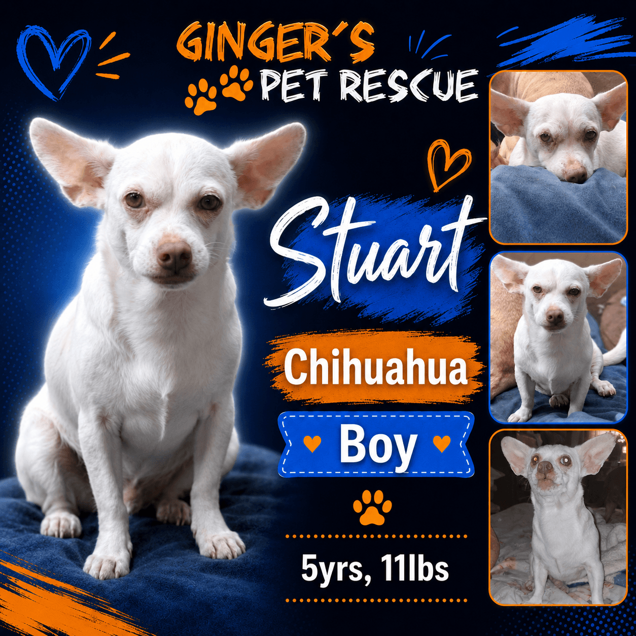 Stuart From Mexico - Chihuahua
