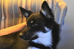 Danny image 1