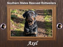 Axel image 1