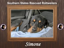 Simone image 1