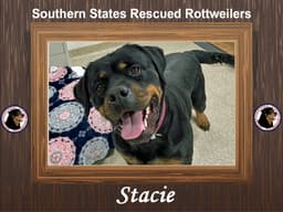 Stacie image 1