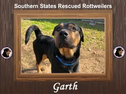Garth image 1