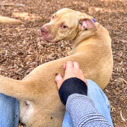Buster image 3