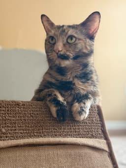 Mimi image 2