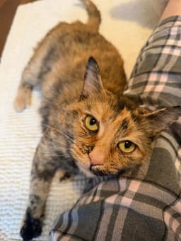 Mimi image 4