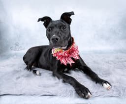Trina image 3