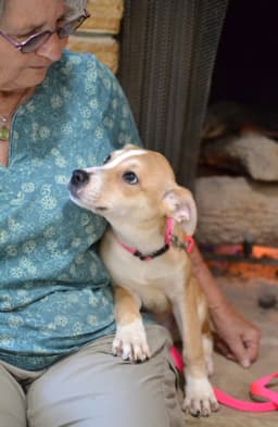 Pippa image 3