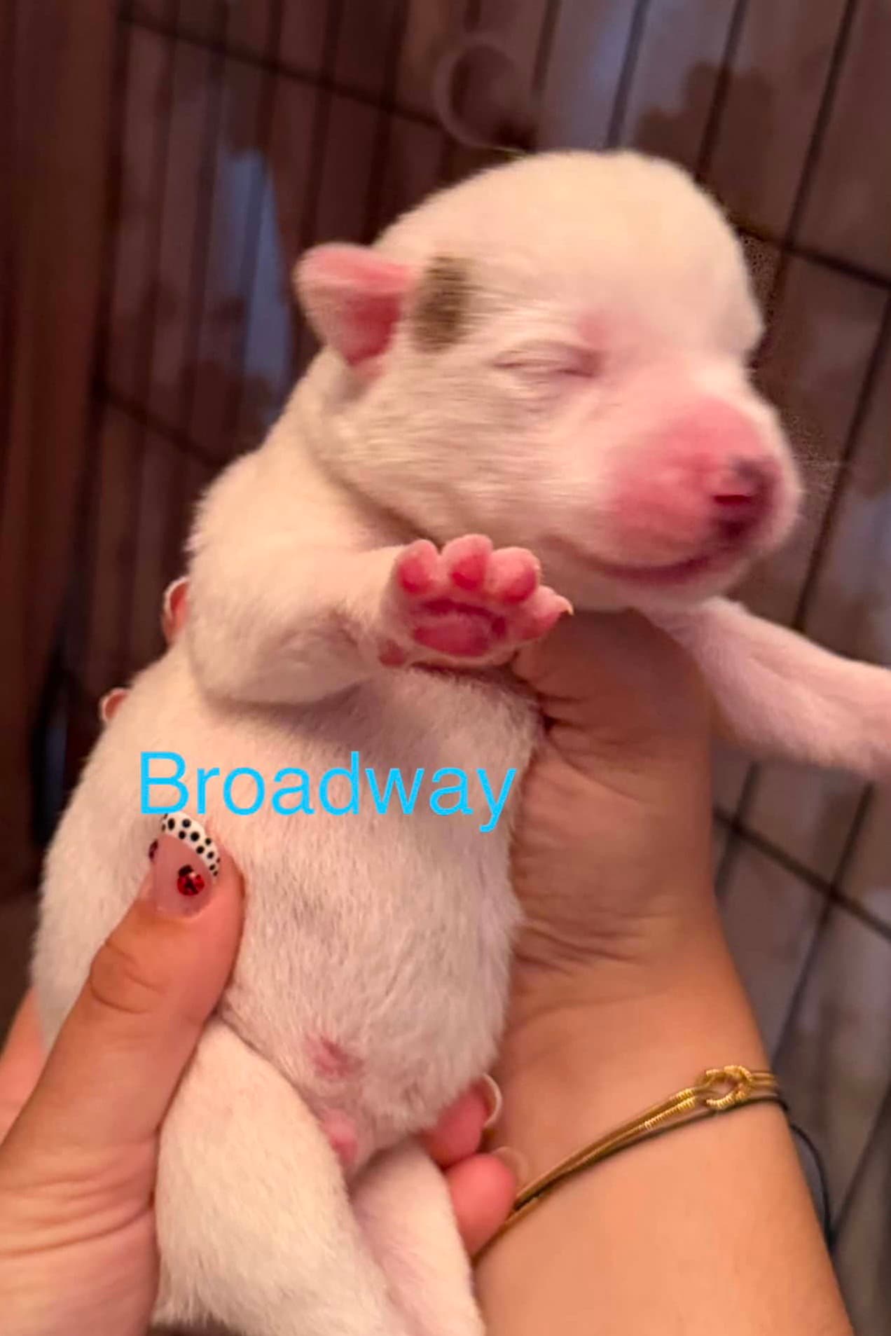 Broadway