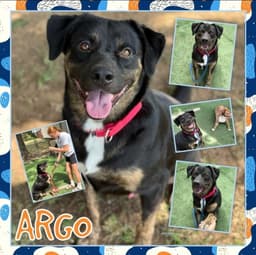 Argo image 3