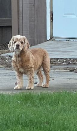 Daisy Duke image 4