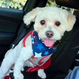 Reginald image 4