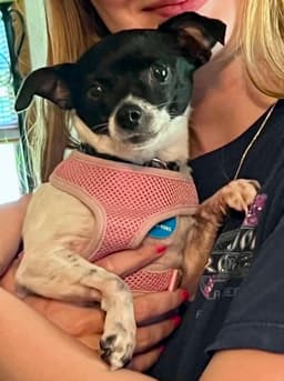 Missy image 3