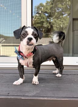 Barnaby image 4