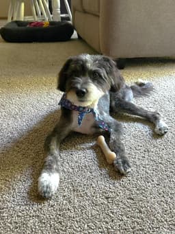 Pickles image 3